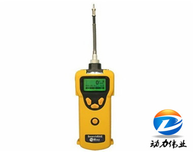 美國華瑞PGM-1600 型復(fù)合氣體檢測儀